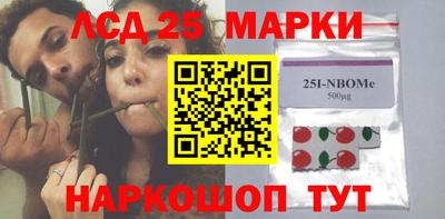 прущие грибы Кандалакша