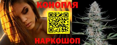 прущие грибы Кандалакша